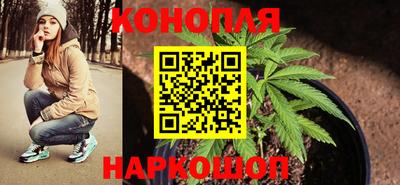 твердый Славгород